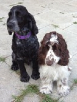 Marley & Wesley