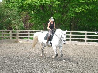 Sally demonstrating dressage