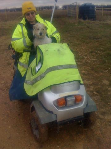 Connie the Jack Russell