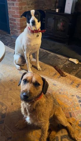 Ted and Pippin