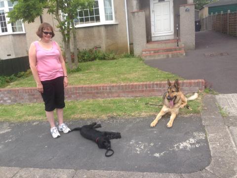 Jacky with Bella the Cocker Spaniel and Boy, Sally's German Shepherd