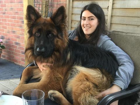 Dexter the German Shepherd