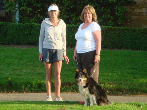Hattie the Border Collie
