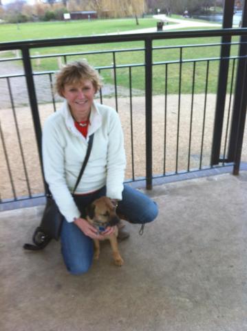 Debbie and Monty the Border Terrier