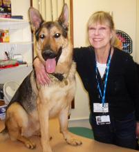 I have lots of jobs; one is being a therapy dog