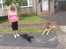 Jacky with Bella the Cocker Spaniel and Boy, Sally's German Shepherd