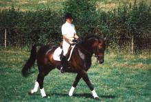 Sally riding Lord Bundle