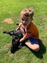 Buster the Black Labrador