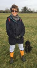 Ailsa the Cockapoo