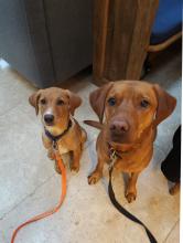 Jazz and Lula