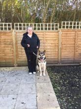 Kia and Khan the German Shepherds