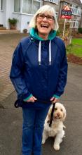 Rosie the Labradoodle