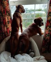 Rubus and Kizzy