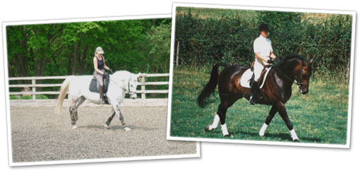 Dressage Sally riding My Girl George