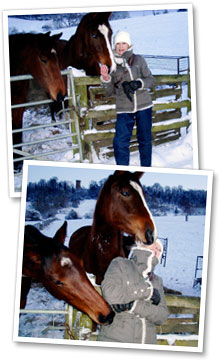 sallyandhorses Sally and horses